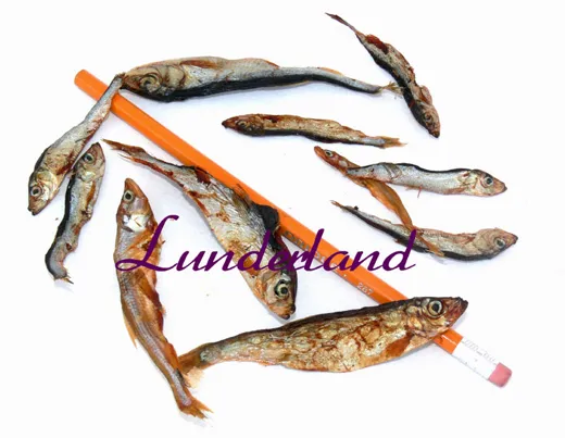 Lunderland Lodde 500g