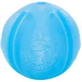 Planet Dog Orbee-Tuff Guru blue