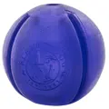 Planet Dog Orbee-Tuff Guru purple