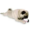 Planet Dog Baseball White mit Hund