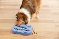 Nina Ottosson DOG HIDE N`SLIDE - COMPOSITE PURPLE mit Hund