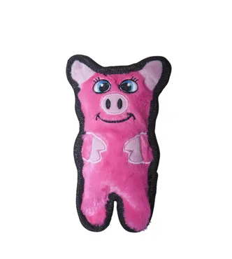Invincible Mini Pig