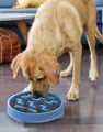 Outward Hound Fun Feeder Notch Blue LG mit Hund