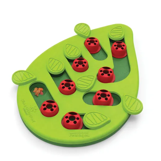 Petstages / Nina Ottosson  BUGGIN´OUT PUZZLE & PLAY