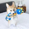 Petstages Ropes-A-Go-Go Dragon mit Hund