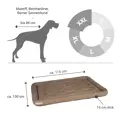 Doctor Bark Lounge-Kissen goldbraun XXL