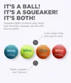 Outward Hound Squeaker Ballz Fetch Dog Toy detail