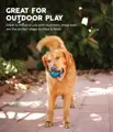 Outward Hound Squeaker Ballz Fetch Dog Toy mit Hund