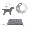 Doctor Bark Hundebett ORTHOPÄDISCH hellgrau Einlegekissen XL