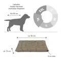 Doctor Bark Hundebett ORTHOPÄDISCH goldbraun Enlagekissen XL