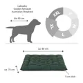 Doctor Bark Hundebett ORTHOPÄDISCH grün Einlegekissen XL