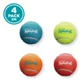 Outward Hound Squeaker Ballz Fetch Dog Toy