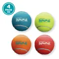 Outward Hound Squeaker Ballz Fetch Dog Toy