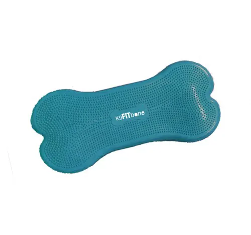 FitPaws Giant - K9FITbone, Turquoise