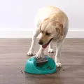 Nina Ottosson Spin N' Eat mit Hund