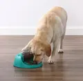 Nina Ottosson Spin N' Eat mit Hund
