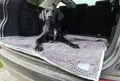 Henry Wag Noodle Pet Mat Kofferraum