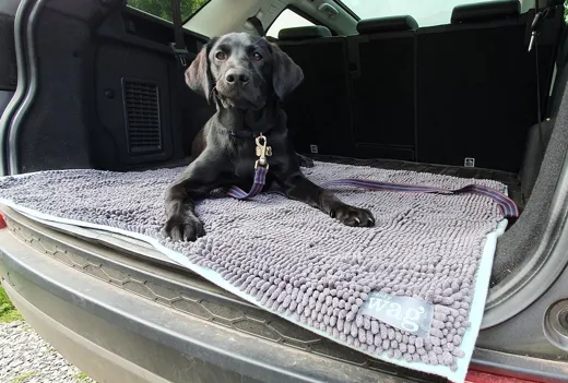 Henry Wag Noodle Pet Mat