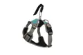 Henry Wag Dog Travel Harness Detail