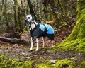 Henry Wag Waterproof Dog Coat Wald