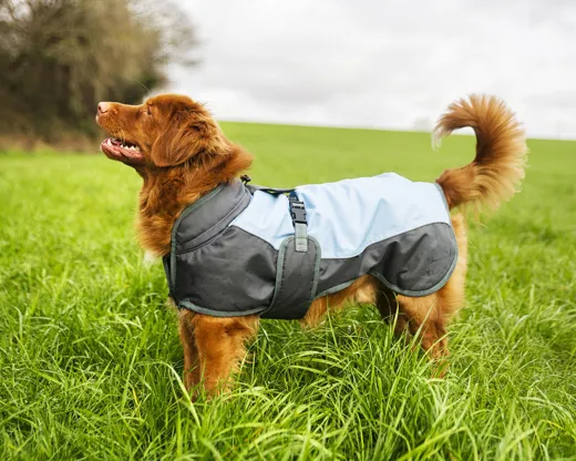 Manteau pour chien Henry Wag Waterproof