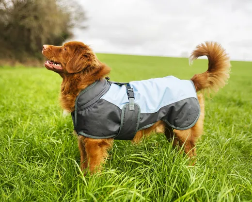 Henry Wag Waterproof Dog Coat