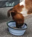 Henry Wag Travel Bowl