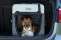 Henry Wag Folding Fabric Travel Crate Live
