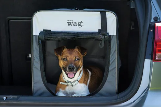 Henry Wag Folding Fabric Travel Crate