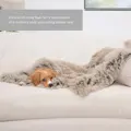Best Friends by Sheri Calming Shag Fur Pet Throw Blanket, Taupe Home