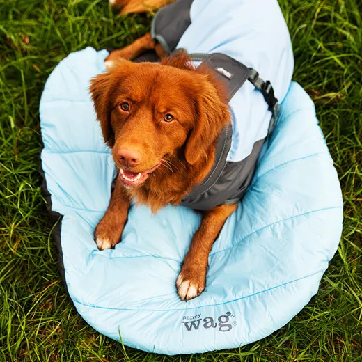 Henry Wag Alpine Travel Snuggle Bed