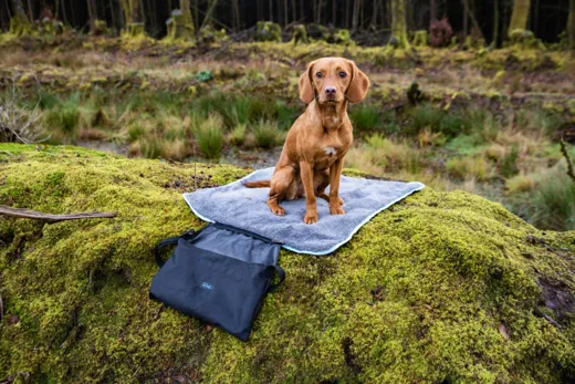 Henry Wag Easy-Roll Travel Pet Bed