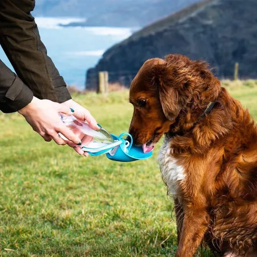 Henry Wag Pet Water Bottle With Leaf Bowl