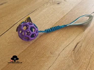 JW mit Bungee