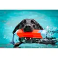 CHUCKIT! AMPHIBIOUS BUMPER MEDIUM Red