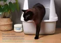 Skyvell home Geruchsentferner-Gel Katzenklo