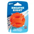 CHUCKIT! BREATHE RIGHT BALLmedium