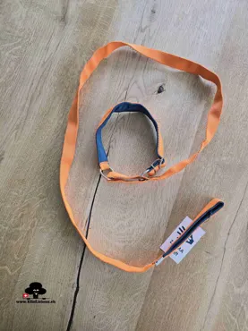 Sport-Leine orange