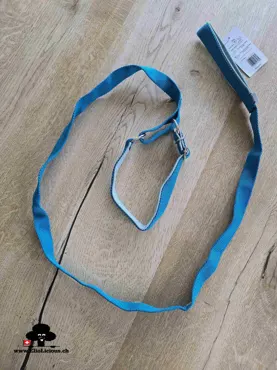 Sport-Leine teal