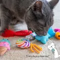 Catstages Kitty Sweet Treats 6Pk Mlt mit Katze