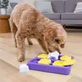 Nina Ottosson Dog Brick TNT Prp/Ylw SM mit Dog