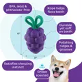 Planet Dog Dental Grapes TNT Prp MD Details