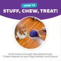 Planet Dog Dental Grapes TNT Prp MD 1
