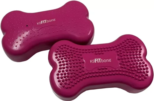 FitPaws bone mini, Set mit 2 Stk. Razzleberry