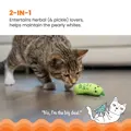 Catstages Crunchy Pickle Kicker Grn mit Katze