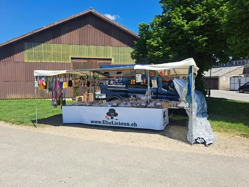 Agility EO-Quali Frauenfeld 1.jpg