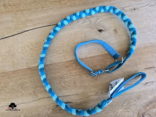 Laisse tressée Agility teal,aqua