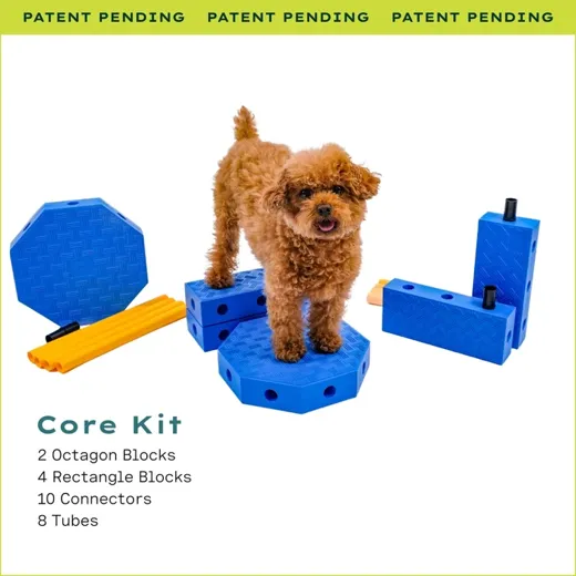 FitPaws FitKinect™ Core 